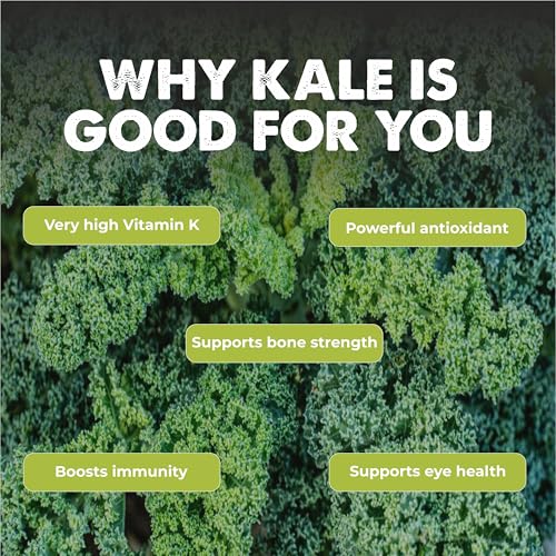 Image of Kale 50+ Vegetable Seeds for Home Garden