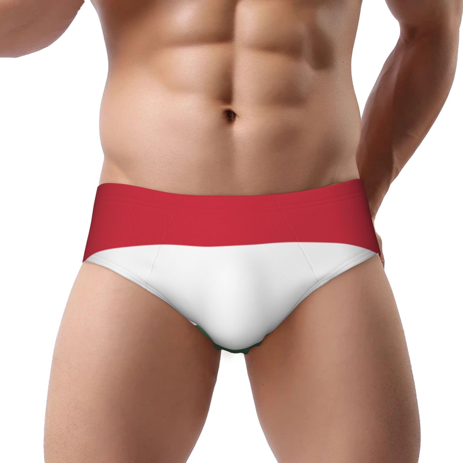 Kwqdozf Men's Flag Of Hungary 1 Flag Of Hungary Triangle Briefs Briefs Swim Soft Triangle Thong