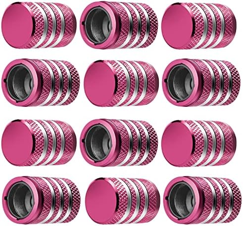 Tire Valve Stem Cap Cover - (12 Pack) Tire Air Caps Metal with Plastic Liner Corrosion Resistant Leak-Proof for Car Truck Motorcycle SUV and Bike