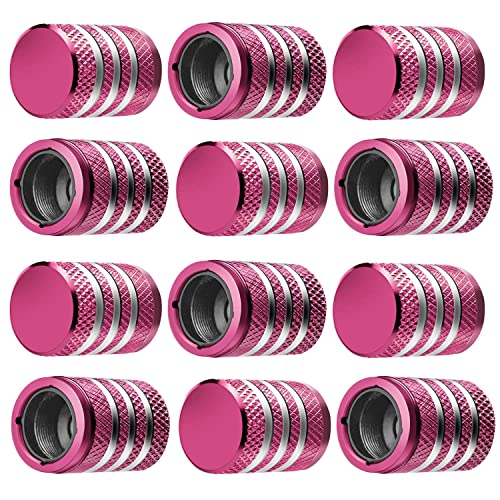 Tire Valve Stem Cap Cover - (12 Pack) Tire Air Caps Metal With Plastic Liner Corrosion Resistant Leak-Proof For Car Truck Motorcycle Suv And Bike #TOP4