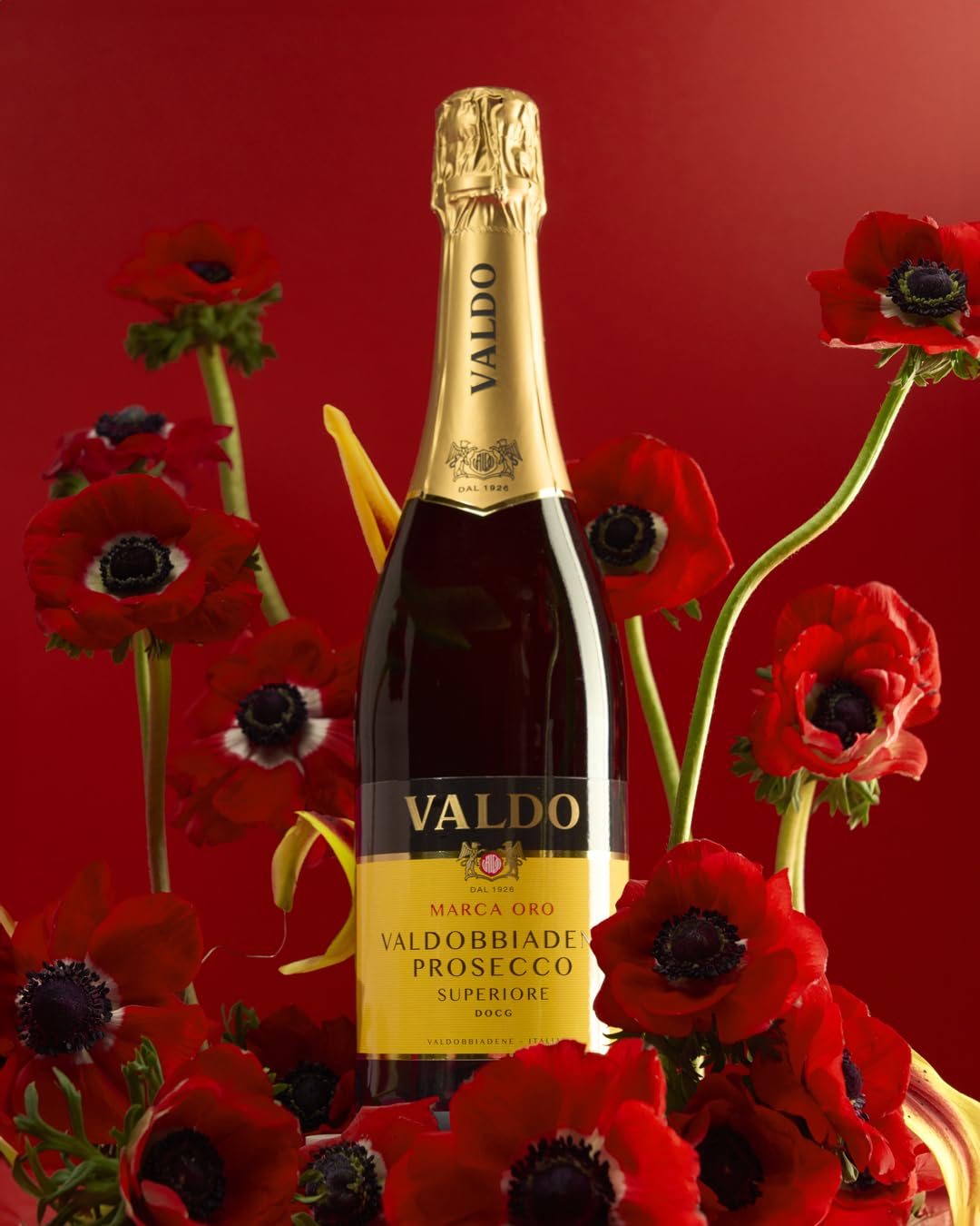 VALDO Marca Oro Valdobbiadene Prosecco Superiore DOCG Magnum Astucciato - 1500ml (Packung mit 6)