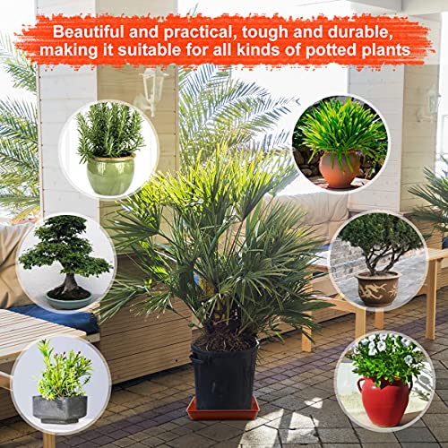 Waynhui Squared Plant Saucer 6/8/10/12/14/16/18Square Plastic Basin Tray Large/Small Water Receiving Tray (Black 12Inch 5Pack) #TOP4