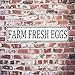 Farmers Market Decor fresh eggs sign Vintage Metal Tin Signs Outdoor Chicken Coop Sign farm fresh eggs sign 4x16 Inch