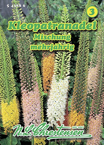Preisvergleich Produktbild Kleopatranadel Lilienschweif Mischung Eremurus stenophyllus mehrjährig