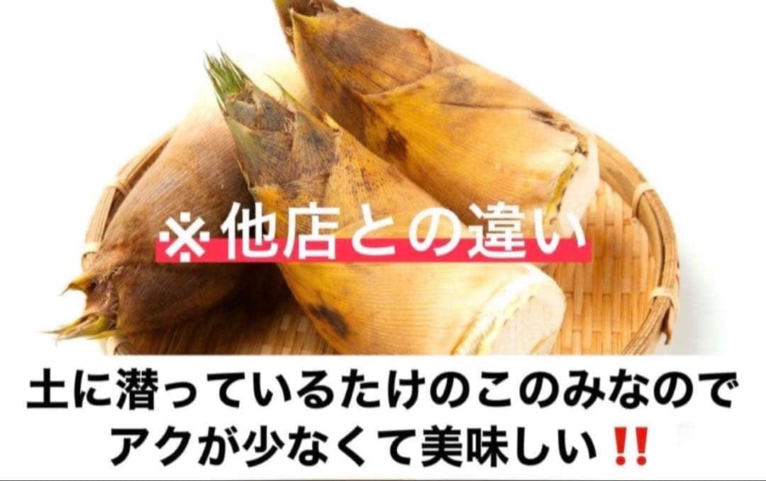 本日セール‼️高級たけのこ4キロ‼️ Amazon.co.jp: 本日 高級たけのこ4キロ : おもちゃ