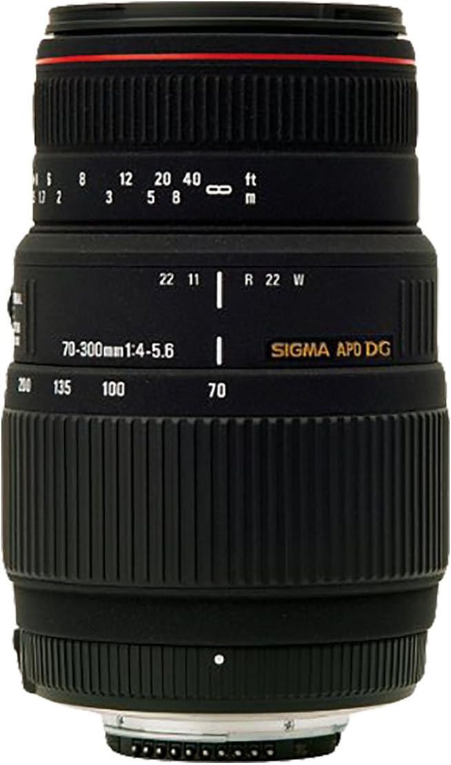 Sigma 70 300 Mm F4 0 5 6 Dg Os Sigma 70-300 mm F4,0-5,6 DG APO Makro-Objektiv für Canon