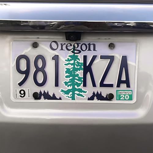 Miniatura 6 de Tornillos negros para matrícula, 8 sujetadores de acero inoxidable para matrículas y marcos o cubiertas de matrícula, a prueba de óxido, a prueba de