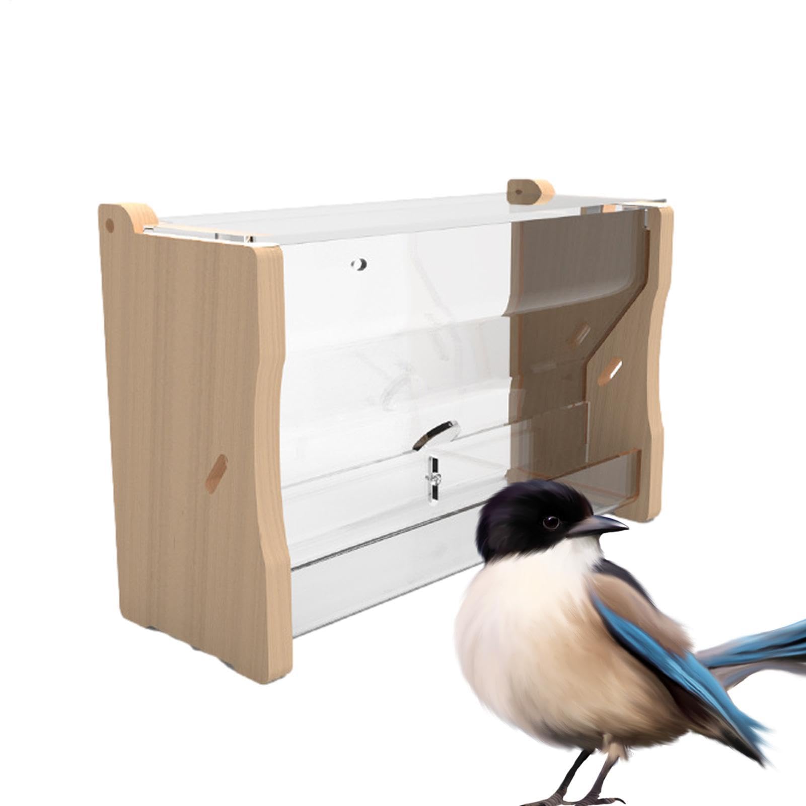 No Waste Quail Feeder,Duck Water Feeder Distributeur d'eau pour Oiseaux, | Mangeoire à poulet Distributeur d'eau d'