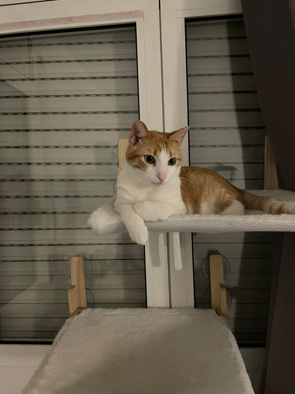 Hamaca para Gato de Ventana - Gris