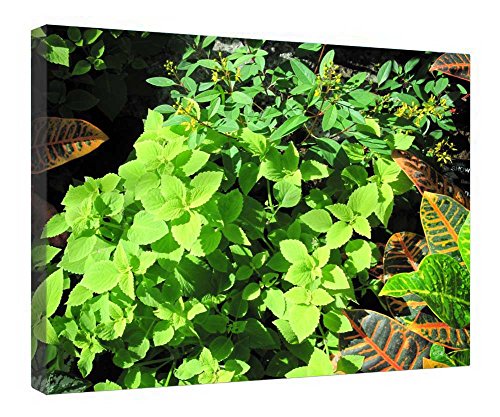 Tableau Edmonton Garden 21 pour une décoration de salon élégante