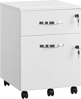 Armário de Arquivo Organizador com Múltiplas Compartimentos