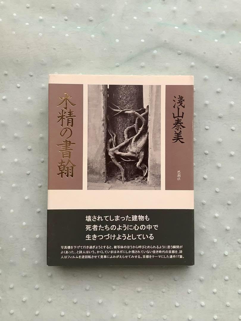 鉄地大鍔 鐔 (笹山篤興 時鳥図) 江戸時代 特別貴重小道具認定書と
