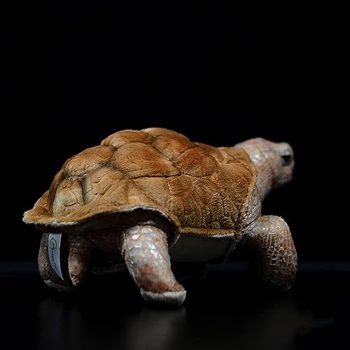 Miniatura 4 de ZHONGXIN MADE Juguete de peluche de tortuga de simulación – 11 pulgadas realista de animales de peluche de tortuga marrón Rex, muñecas de felpa