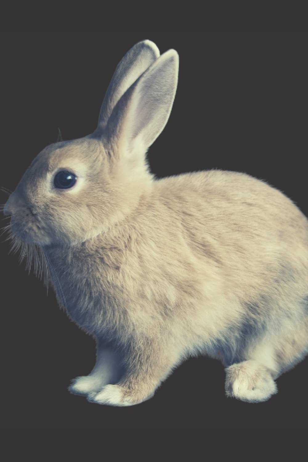 Animals Lovers Diary | Rabbit Notebook | UNIQUE LINED JOURNAL: For kids and adults, for personal use and for office