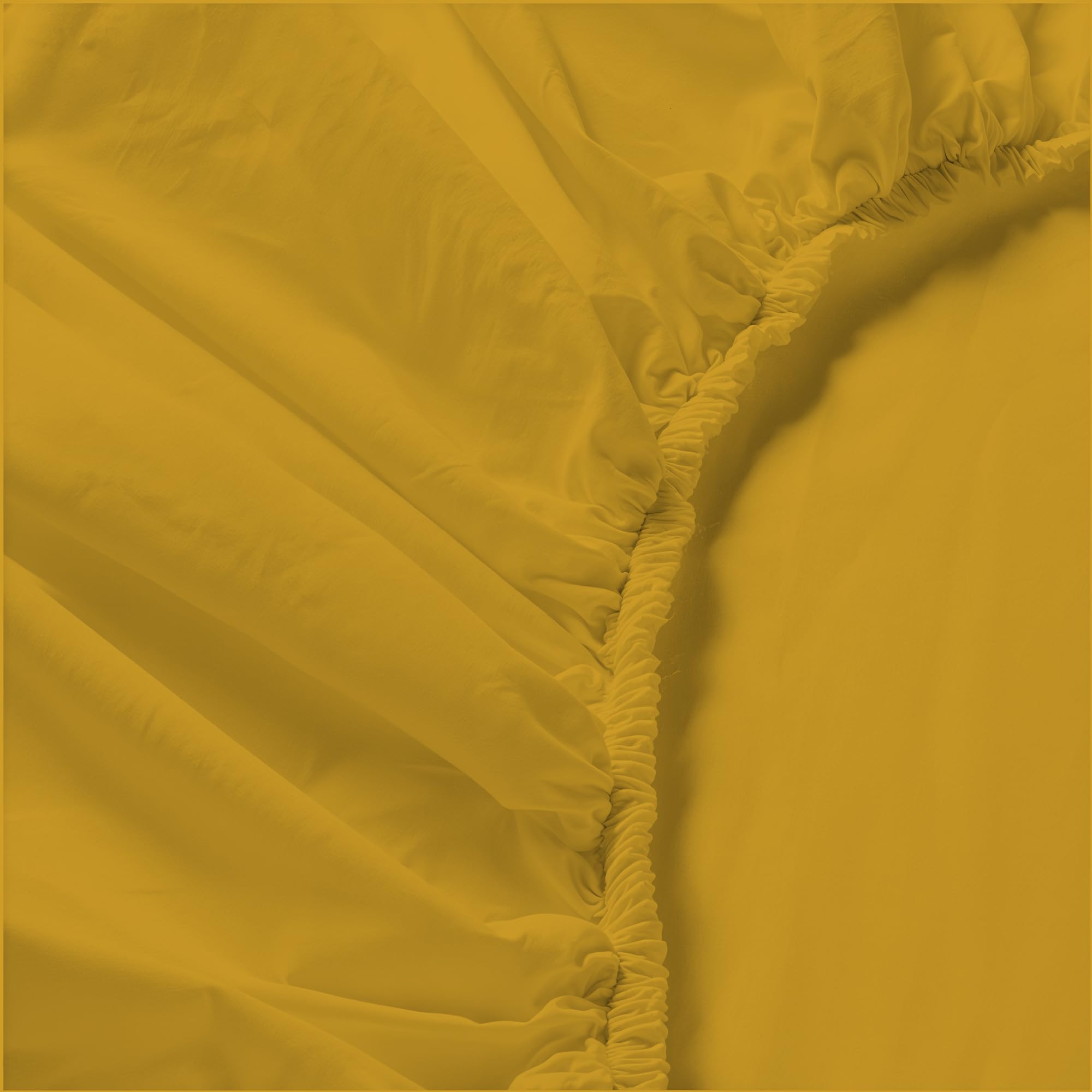 Set Lenzuola Letto Matrimoniale Cotone Max Color, Lavorato in Italia - Completo Letto, Lenzuolo sotto con Angoli, Telo sopra 240x300 cm e 2 Federe con Patella Interna, Senape