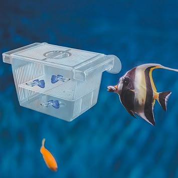 Luckious Transparent Breeding Isolation Box - Double Deck Plastic Hatching Spawning Box for Aquarium Fish Fry Farming and Protection