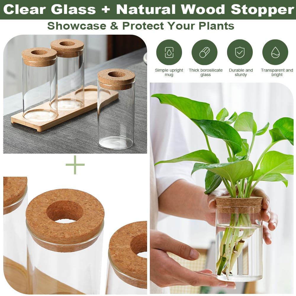 Estación de Propagación de Plantas Jarrón Hidropónico Cristal Jarrón Cultivo Hidropónico Bandeja Vidrio para Cultivo Hidropónicas 3 Jarronita300ml Cristal Decorativas para Esquejes de Plantas