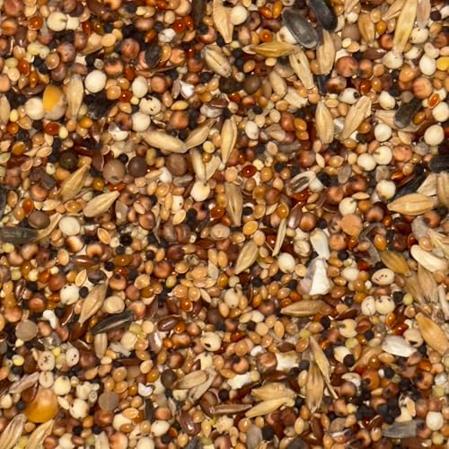 Mélange Premium de Graines pour Oiseaux Sauvages | Nourriture Toute l'Année (30KG) – vue 4