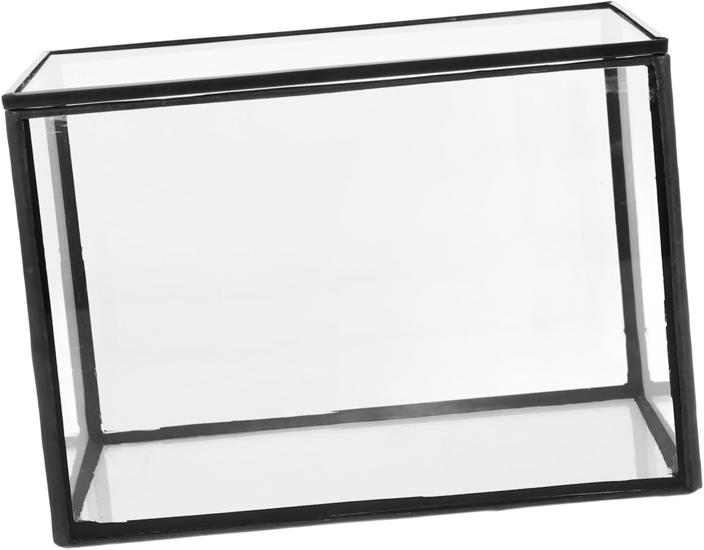 Clear Glass Terrarium Container for Transparent Plant Holder Modern Tabletop -Landscape Vase Decor Artistic Display for Home Office