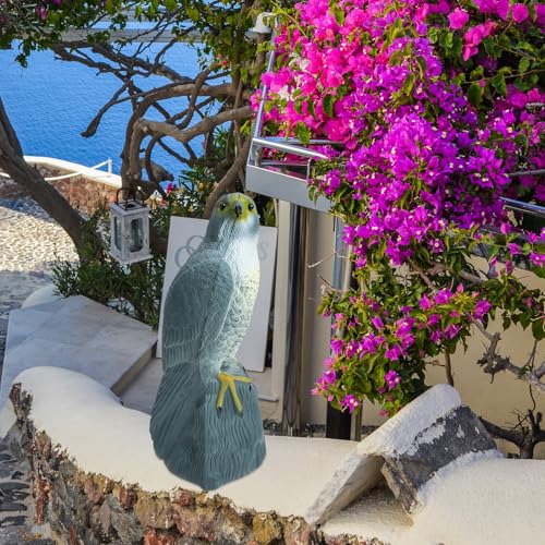 Protection oiseaux de jardin efficace via ce leurre de simulation réaliste
