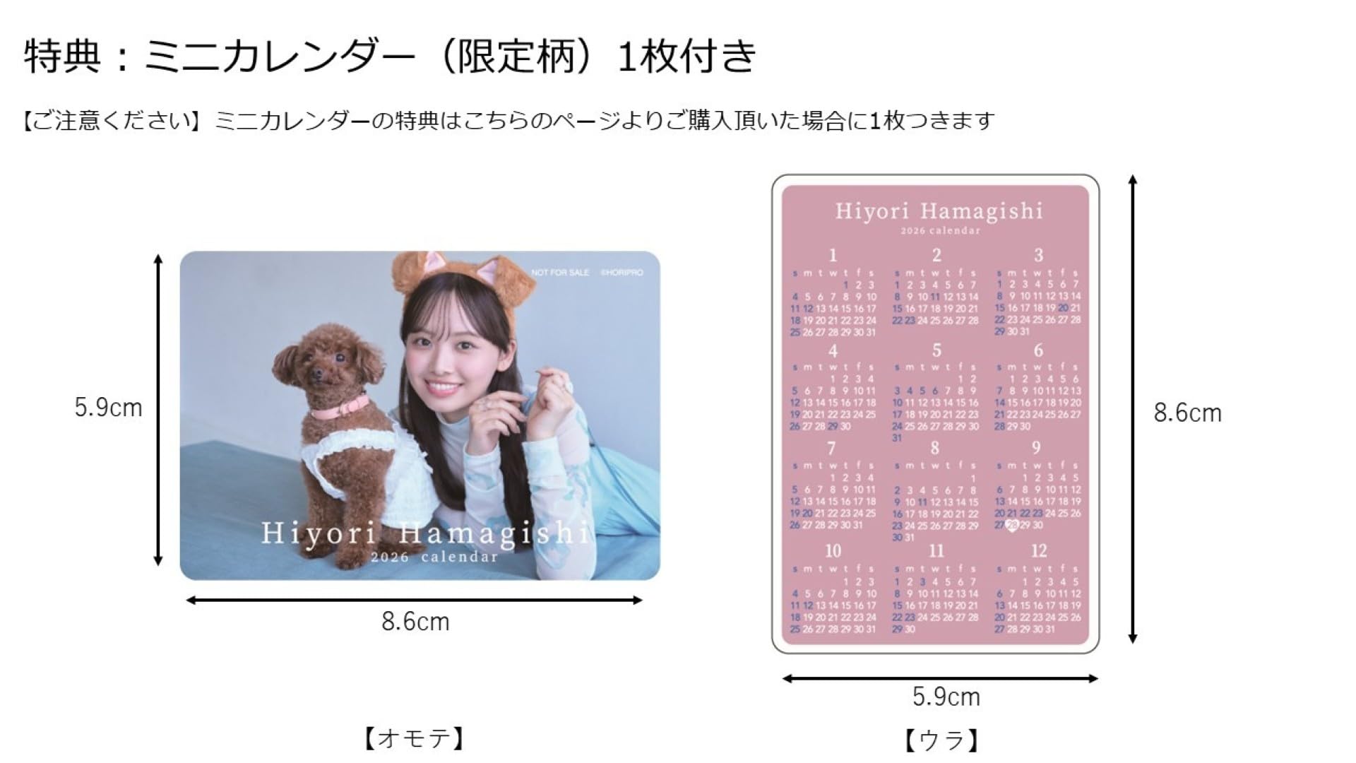 家具一式 2026/1/26 2026/1/28 2026/2/18 Amazon.co.jp Exclusive] Hagoromo CL26-0194A Hiyoro Akishi 2026