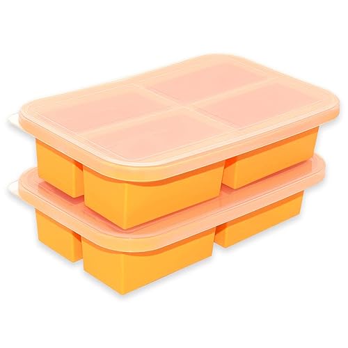 Bangp 1-Cup Silicone Freezing Trays with Lid,2 Pack,Easy-Release Silicone Freezer