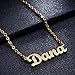 Ldurian Custom Name Necklace, Dana Name Plate Pendant Necklace Pre Gifts, Charm Necklaces Jewelry for Birthday Anniversary