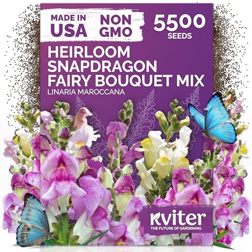 KVITER 5,500 Fairy Bouquet Mix Snapdragon Seeds for Planting (Linaria Maroccana) – Known as Toadflax, Heirloom & Organic – Flower Seeds to Plant Outside & Inside – Garden, Containers, Borders, Beds