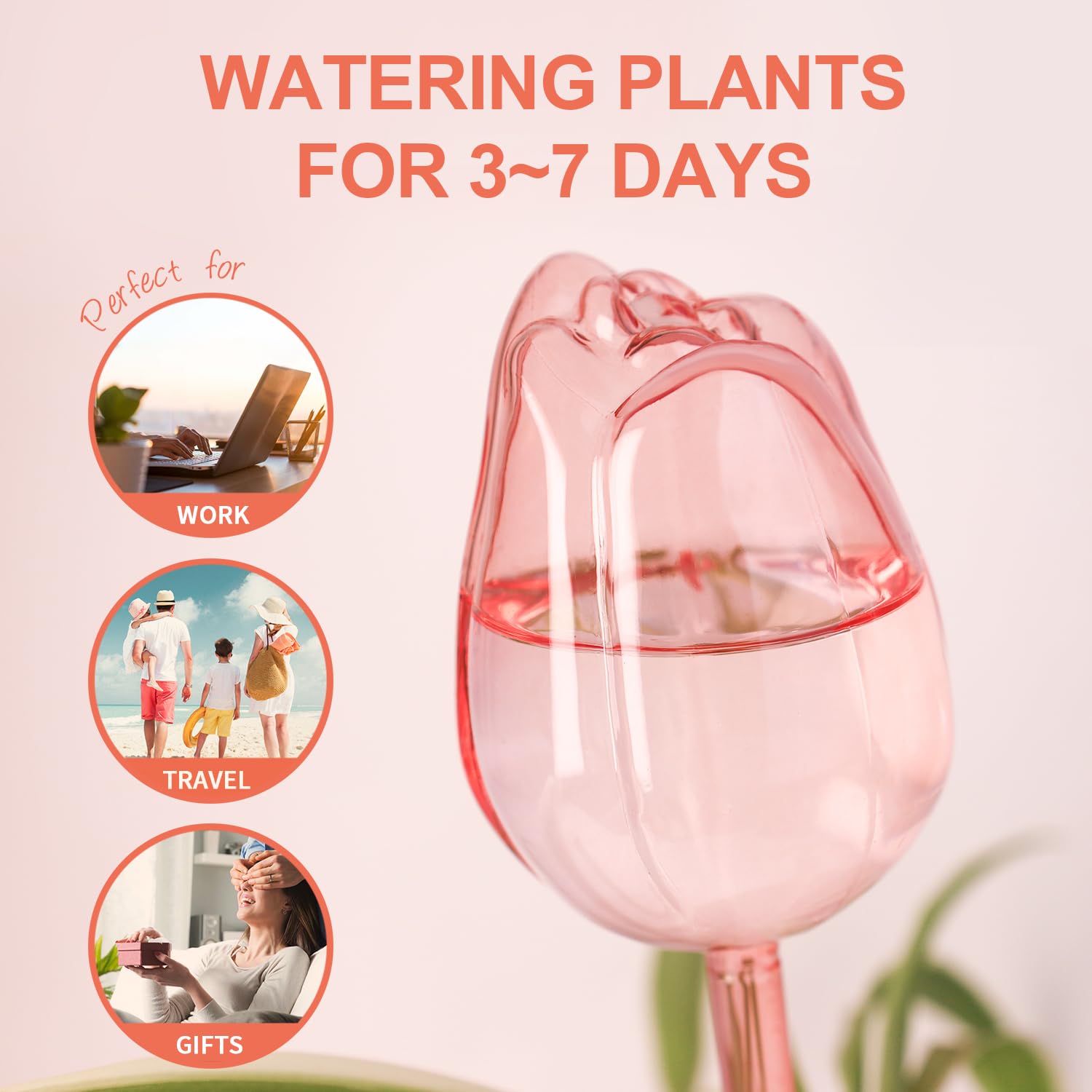 SL-JIJI Premium Glass Plant Watering Bulbs, Automatic Self-Watering Globes for Indoor & Outdoor - Image 3