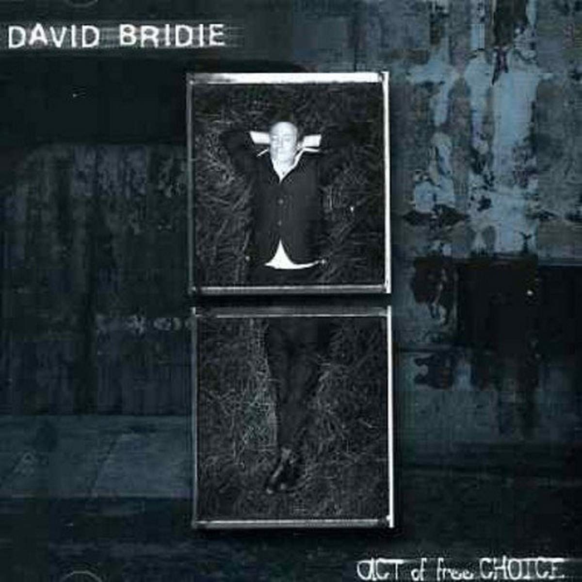 Act of Free Choice [Audio CD] David Bridie; Andrea Keeble; Kerri Simpson; Kutcha Edwards; Michael Barker; Hope Csutoros; Phil Wales and Ian Caple