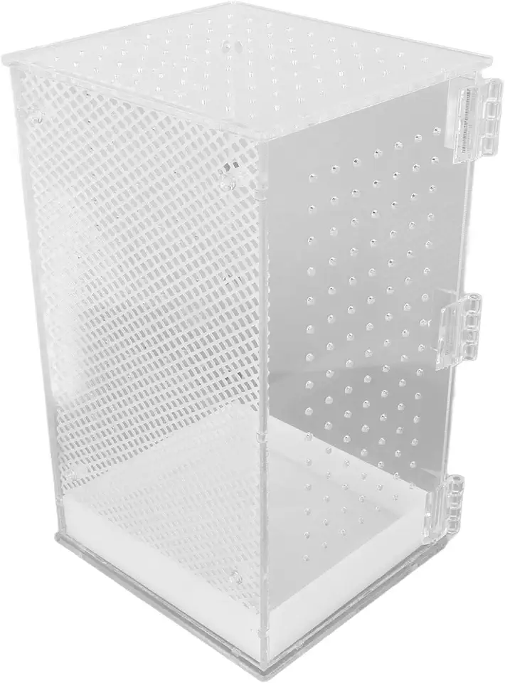 GLOGLOW Tanque de Terrário para Répteis, Acrílico Transparente Com Porta Magnética, Ventilação para Cobra Leopardo Gecko, 36x25x3cm (L)