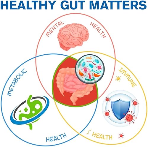 Miniatura 3 de Biome Renew 4 - Fórmula todo en uno para la salud digestiva y intestinal - con enzimas digestivas prebióticos y probióticos para un bioma intestinal