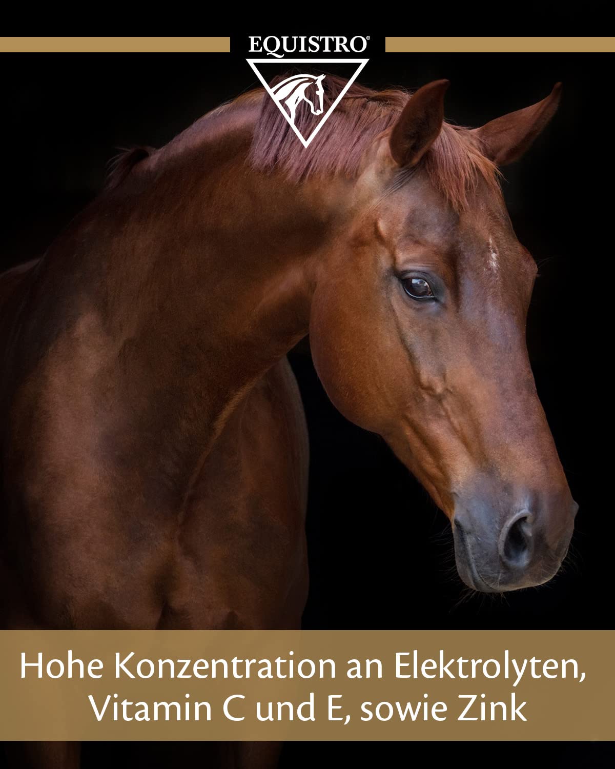 equistro electrolyt 7 – 3 KG