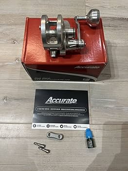 Accurate BX 600NN アキュレート　2スピード アキュレートAccurate BX 600NN 2-speed 【公式通販】