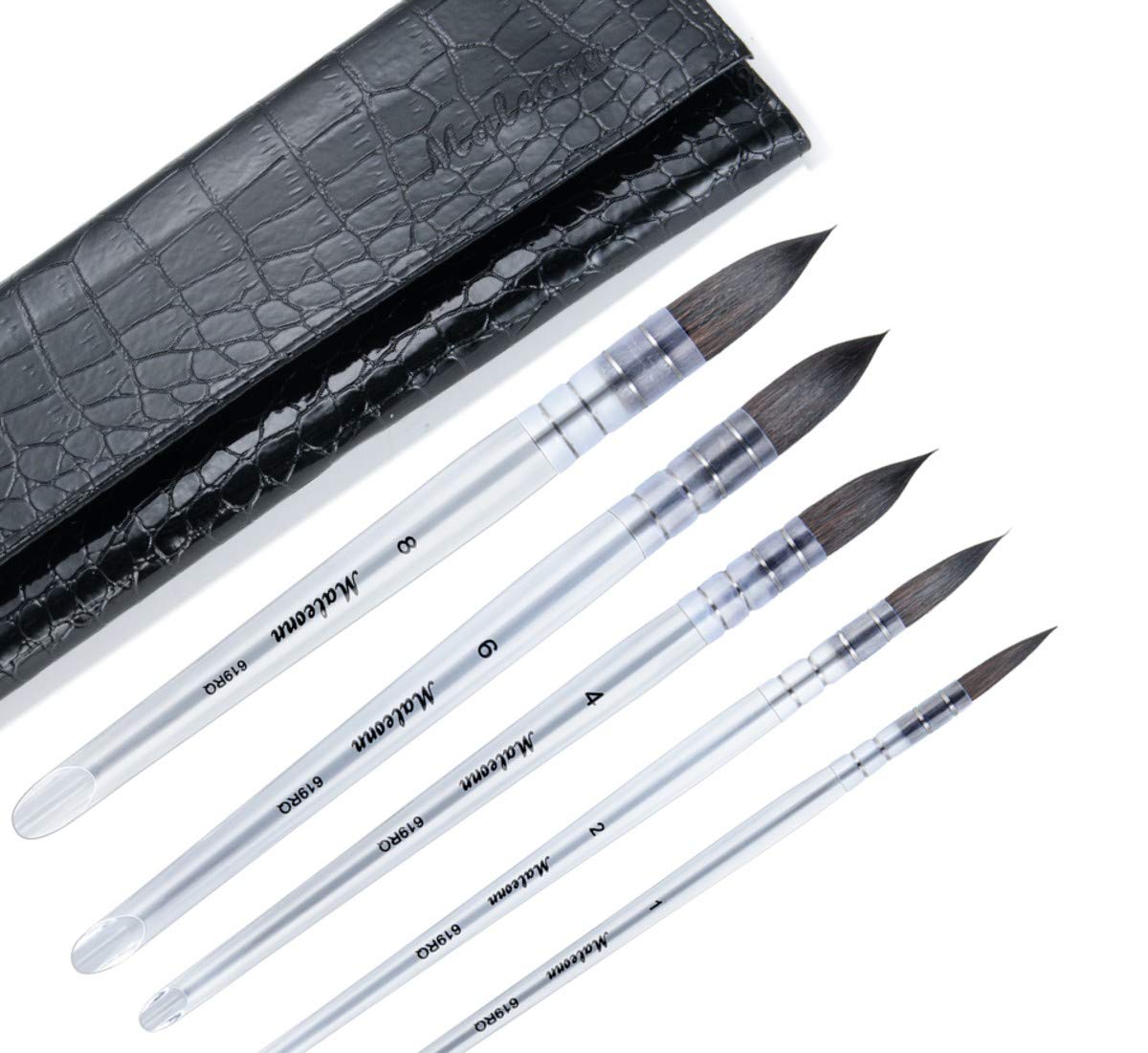 Hosmide 5 Size Watercolor Round Paintbrushes with Bag,Acrylic Handle,Squirrel Hair Paint Brush Set for Art Painting, Gouache, Wash/Mop, Artist Quality Supplies