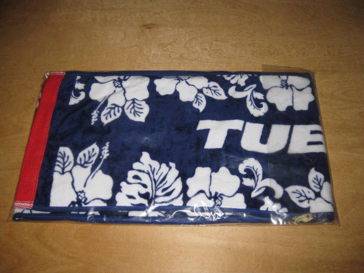 TUBE RIDERS ファンクラブ限定 バスタオル タオルマフラー TUBE ファンクラブ RIDERS限定 マフラータオル 水色 ストライプ