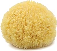 Neptune Caribbean Sea Sponge - Natural Hand-Cut Medium Bath Sponge, 5-6 Inches Wet, Gentle Exfoliating Skincare