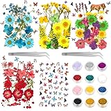 OMEW 149 Pcs Flores Secas Naturales, Flores Prensadas de Decoraciones y Manualidades con Brillantina de 12 Colores, Pegatinas y 2 Pinzas para DIY y Maquillaje Facial