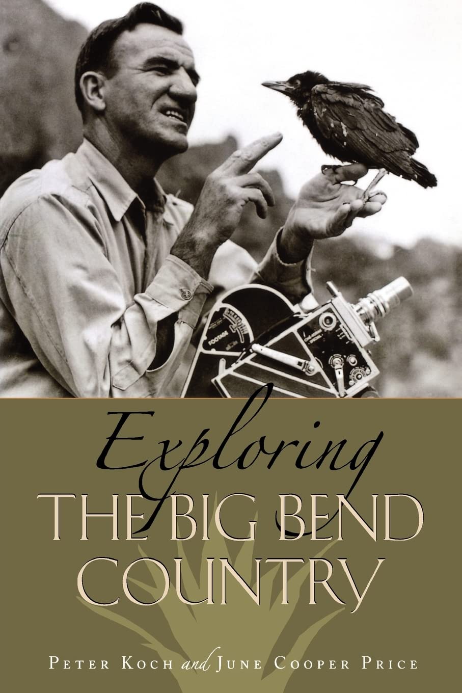 Exploring the Big Bend Country