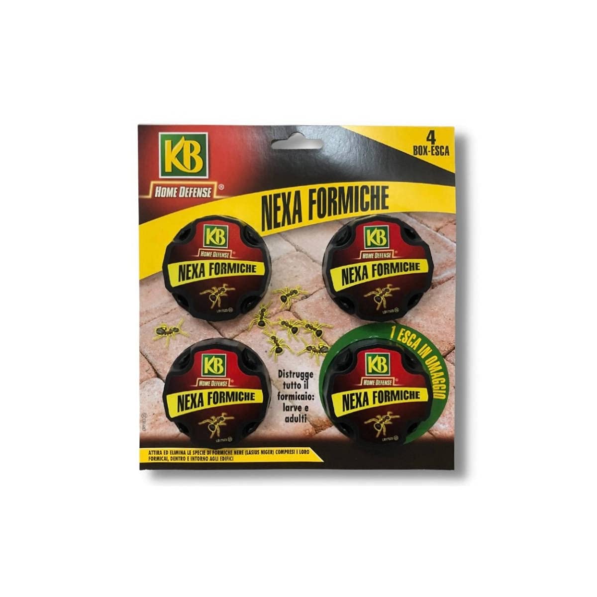 KB NEXA FORMICHE