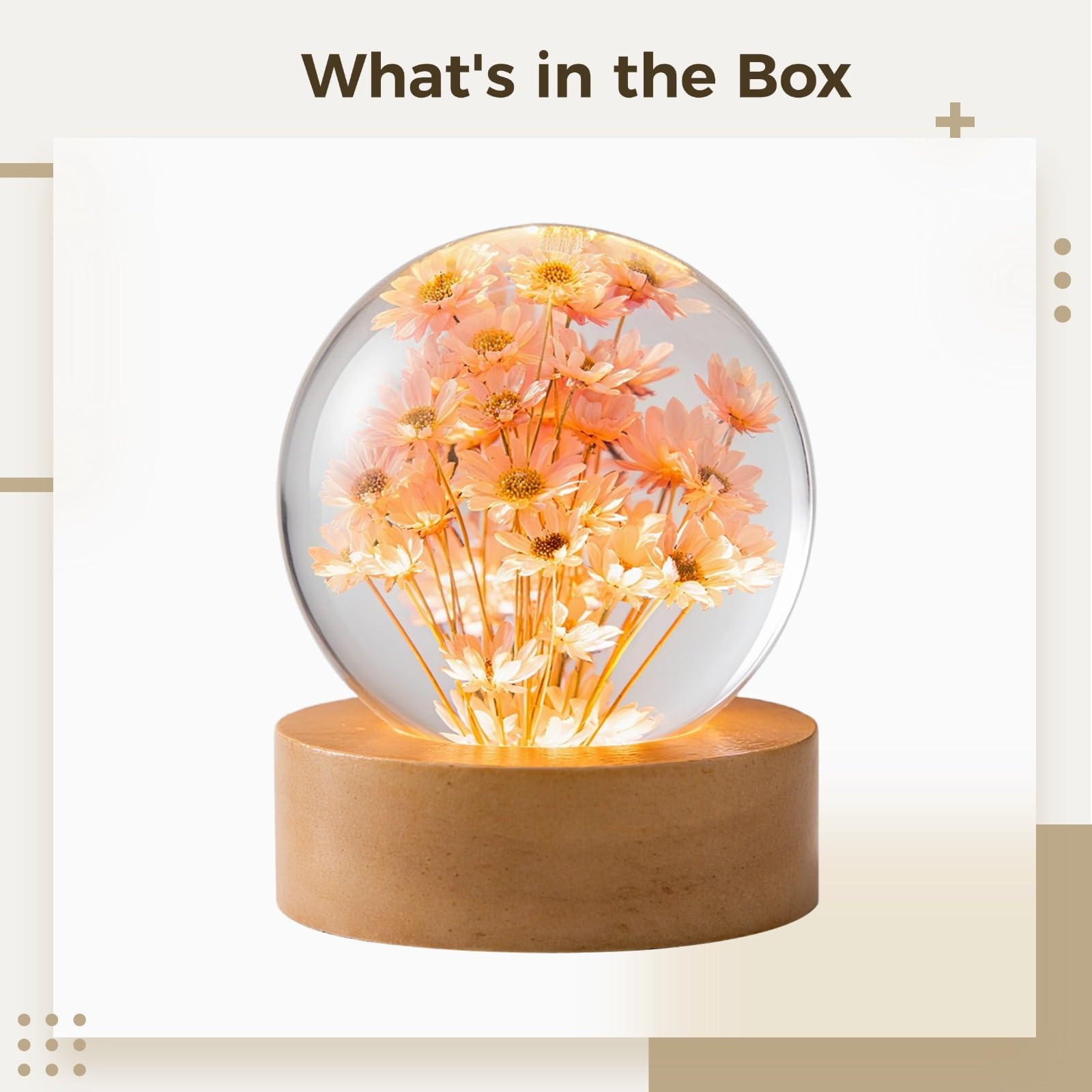 Luz nocturna de bola de cristal, lámpara de escritorio de flores preservadas grabada en 3D con diseño de diente de león y margaritas, luz LED cálida, decoración de mesita de noche alimentada por USB
