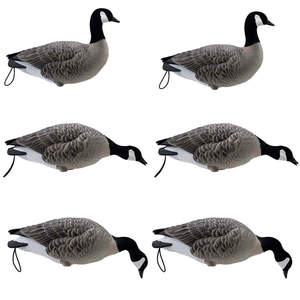 Final Approach Live Full Body Lesser Canada Geese, Decoy 6 Pack in Brown