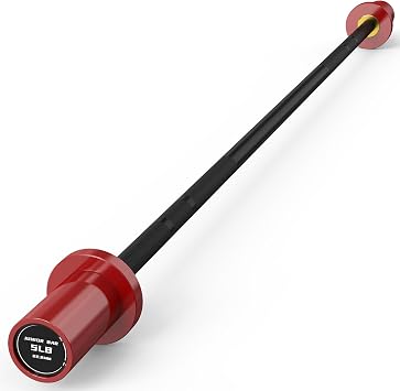 HANDBODE 5 lb Mini Barbell, 4 ft Short Bar, Beginner Bars for Kids Children
