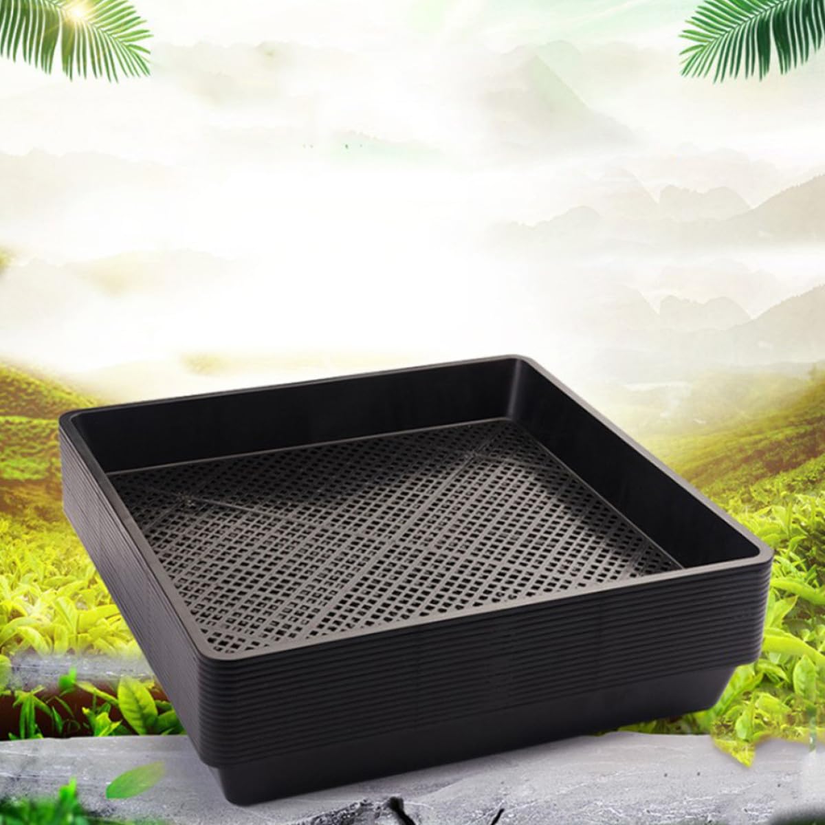 Angoily Bandeja de Germinación Material PP Ligero y Fácil de Usar para Plantas Suculentas y Tomates Paquete de 5 Piezas Adecuado para Plantación en Balcón y Cultivo en Interiores