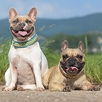 Vista 9 de Paracord 550 lb, cuerda de paracord de 7 hebras 1000 pies 4 mm, cuerda de paracaídas de nailon para acampar, verde oliva