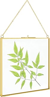 TLBTEK 8x8 inch Brass Hanging Photo Frame,Double Glass Frame for Pressed Flowers,Clear DIY Vintage Artwork Display Frame W...