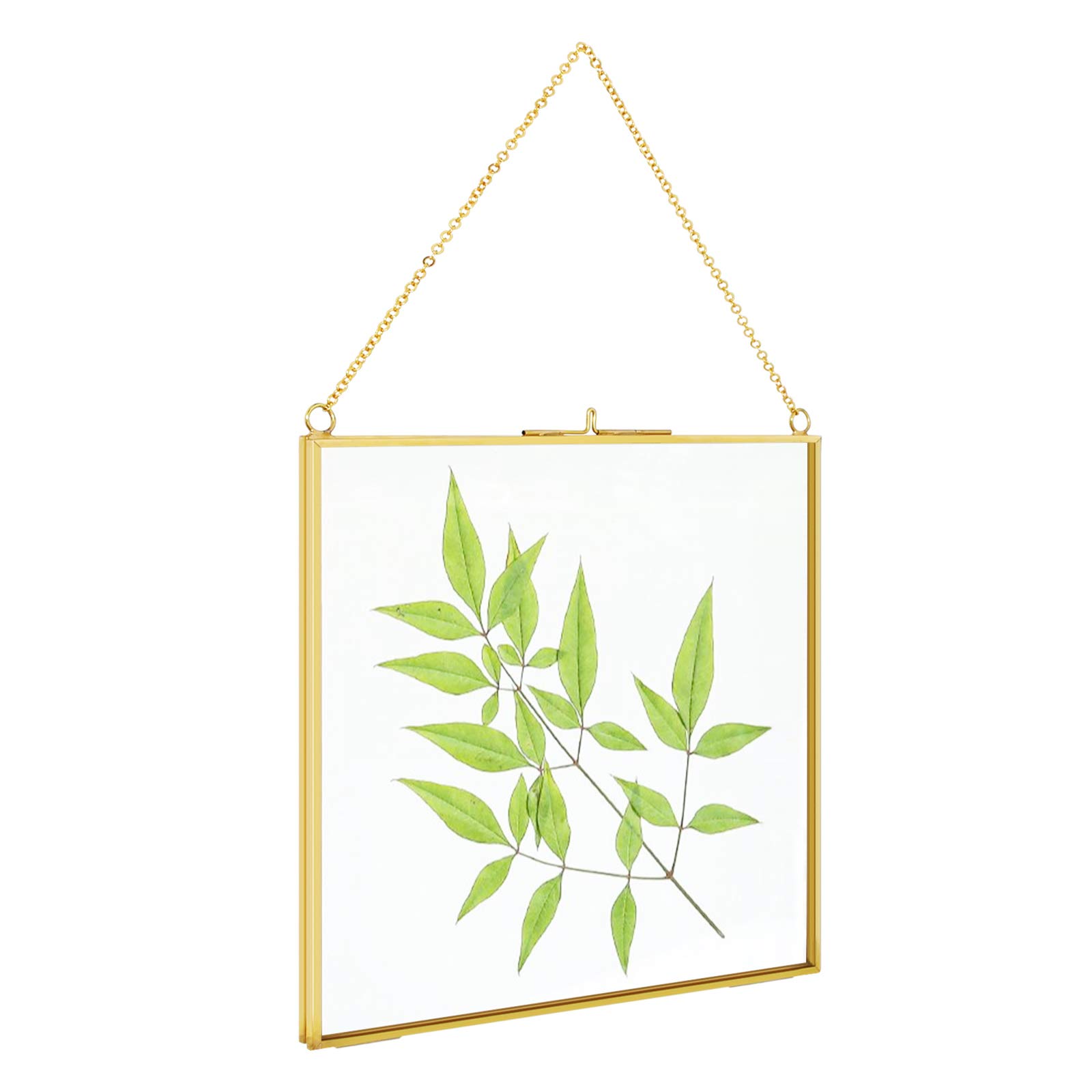 TLBTEK 8x8 inch Brass Hanging Photo Frame,Double Glass Frame for Pressed Flowers,Clear DIY Vintage Artwork Display Frame Wall Mounted Photos Frame