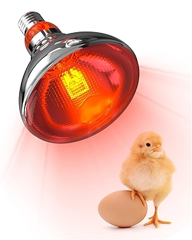 TobeBright 150瓦鸡舍加热灯泡 红外线加热灯用于小鸡、鸟类、鸭子、狗、猫