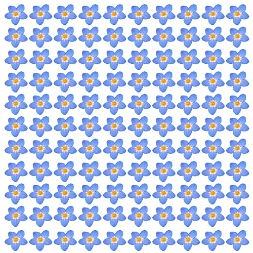100 Flores Secas Naturales para Manualidades Azul miniatura 1