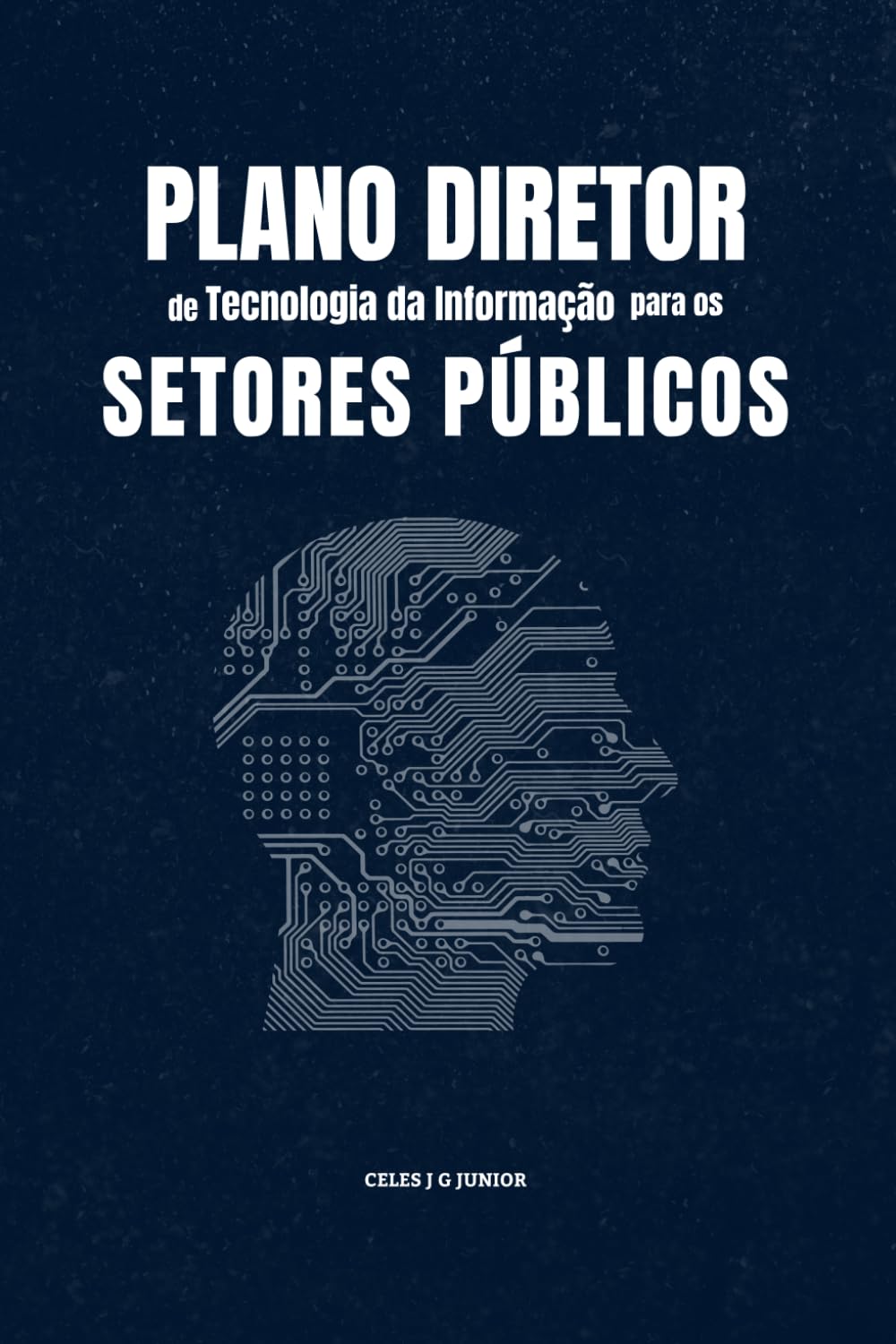 Plano diretor de TI para setor público: Planejamento e Implementação Eficiente